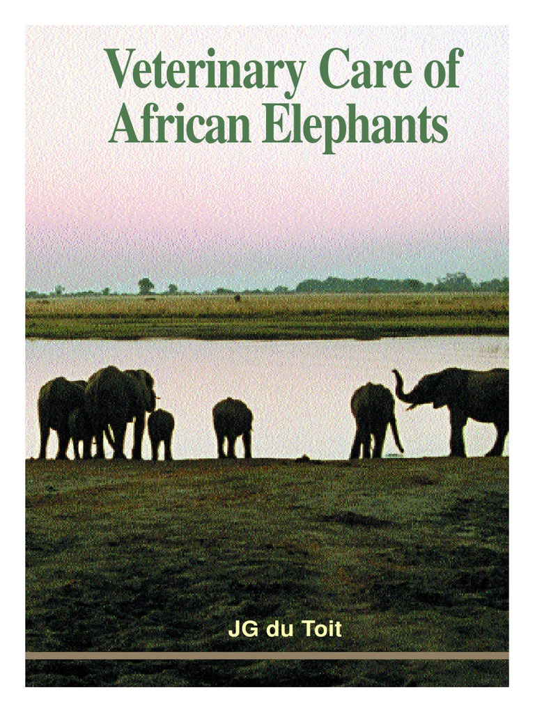Veterinary Care of African Elephants Elephant Calcium