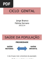 PDF Aula Ciclo Genital