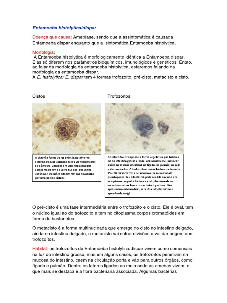 Entamoeba Histolytica Dispar e Coli | PDF | Citoplasma | Núcleo celular