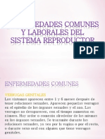 Enfermedades Del Sistema Reproductor