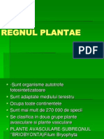 Regnul Plantae