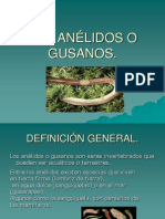 Los Anelidos o Gusanos