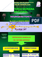 Neuroanatomia 2012.pptx