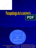 Psicopatologia de La Conc. y Atenc.