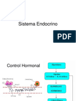 Sistema Endocrino (1)