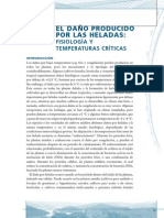 EL DAÑO PRODUCIDO.pdf