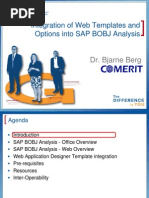 ASUG 2010 Webcast Advanced Analysis v11