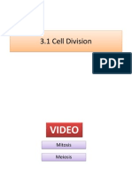 3.1 Compare and Contrast Mitosis and Meiosis