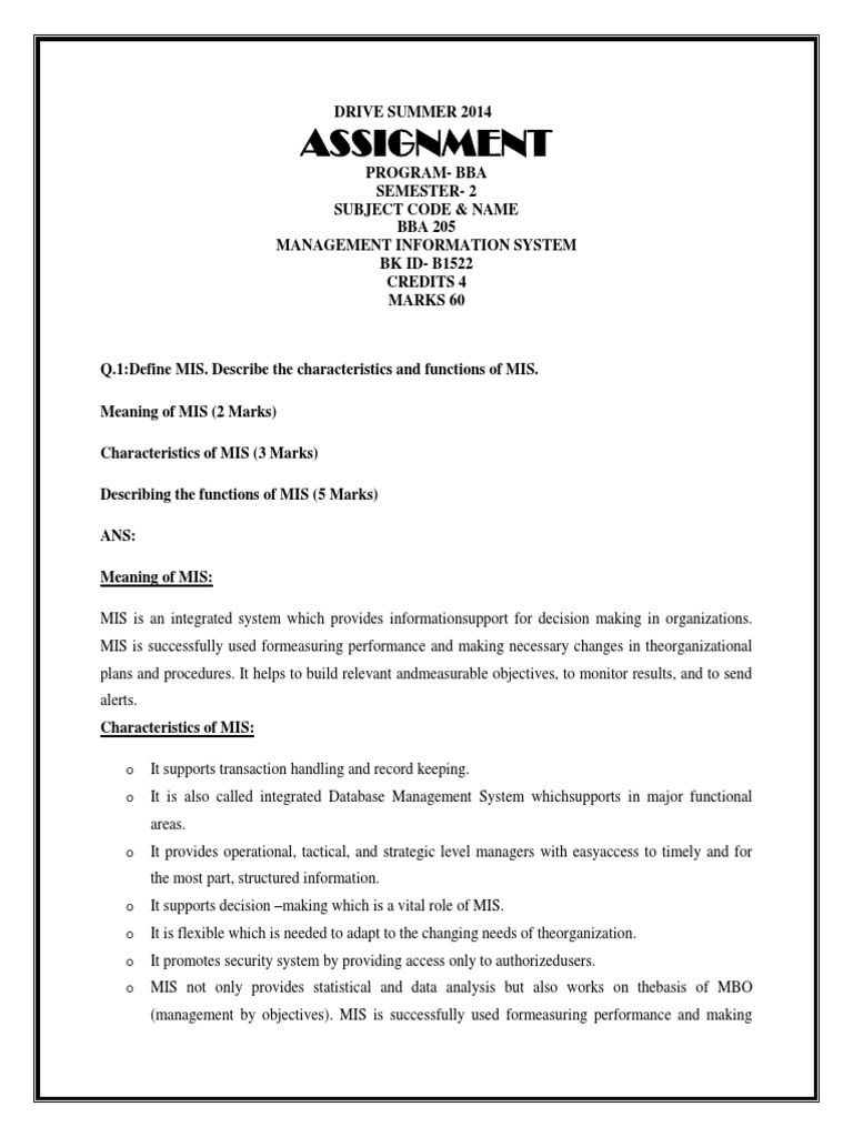 MIS and ERP Overview for BBA Students | PDF | Net Present Value ...