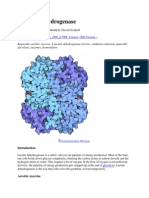 Lactate Dehydrogenase