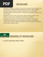 woodland type duplicate shoes