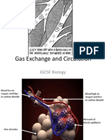 Gas Exchange and Circulation: IGCSE Biology