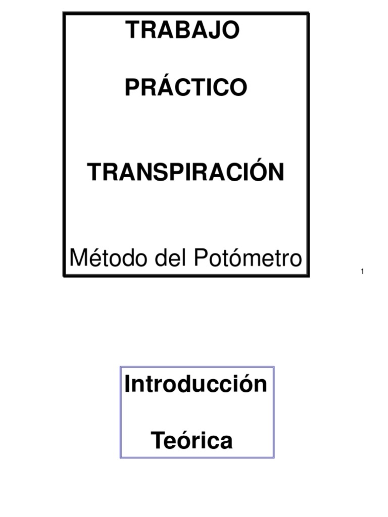 TP Transpiracion 2013 Potometro | PDF | Hoja | Velocidad del viento