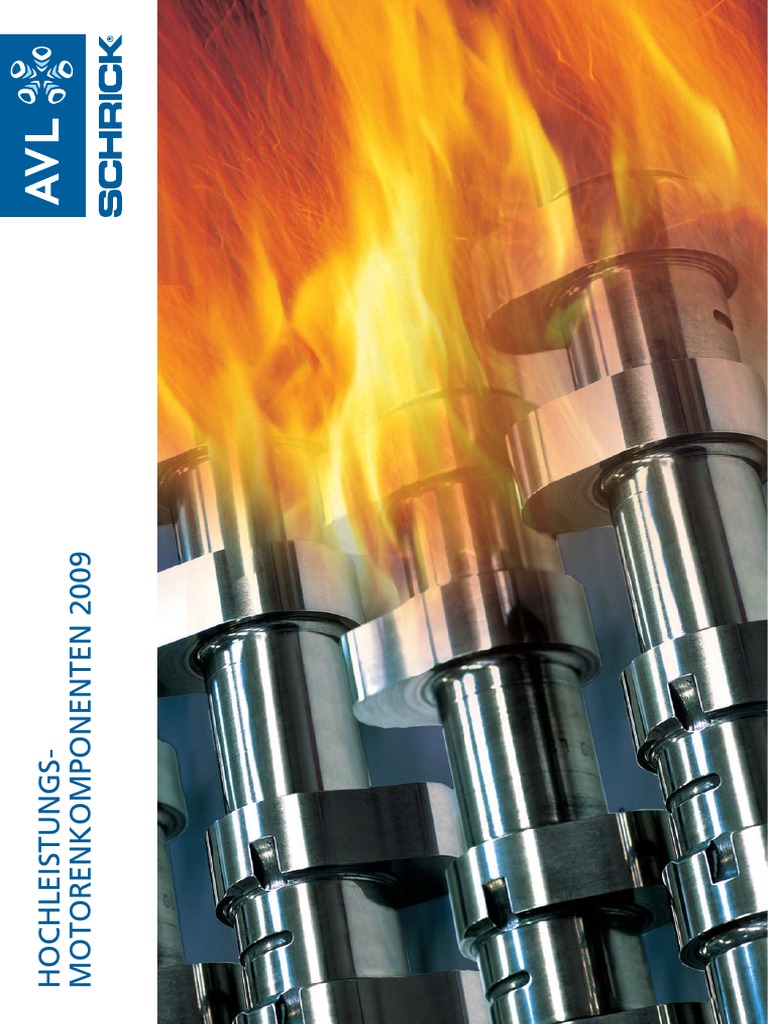 Schrick 2009 D | PDF