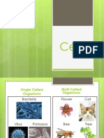 Cells Powerpoint-Tpt