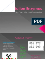 Restriction Enzymes