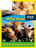 why vegan