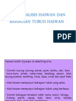 Bahagian Haiwan