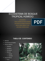 Ecosistema Tropical Final