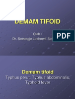 Tifoid Fever