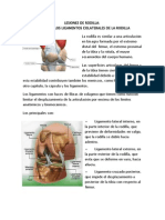 Lesiones de Rodilla