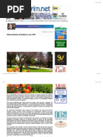 Universitários Brasileiros Nos EUA