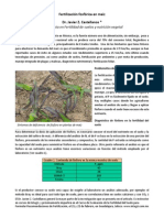 Fertilizacion Fosforada en Maiz PDF