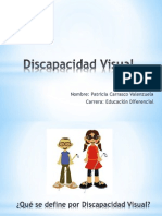 Discapacidad Visual