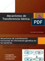 Mecanismos de Transferencia Genica.