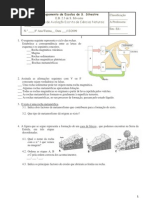 Ficha de avaliação de Ciências Naturais 8º Ano (rochas e paisagens; factores abióticos e bióticos)