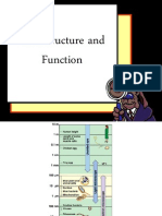 1 Cell Structure