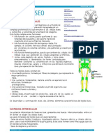 Apuntes Tejido Óseo PDF