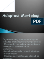 Adaptasi Morfologi