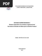 Estudo exploratório da estrutura organizacional.doc