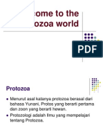 Welcome to Protozoa World