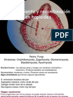 7 - Ligamiento y Mapas de Recombinacion en Haploides