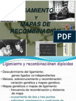 6 - Ligamiento y Mapas de Recombinacion