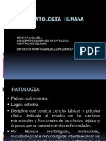 1.patologia, Adaptacion Celular