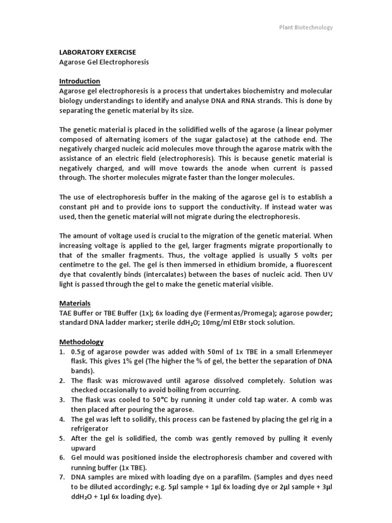 Lab report help gel electrophoresis