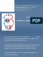 Sistema Cardiovascular