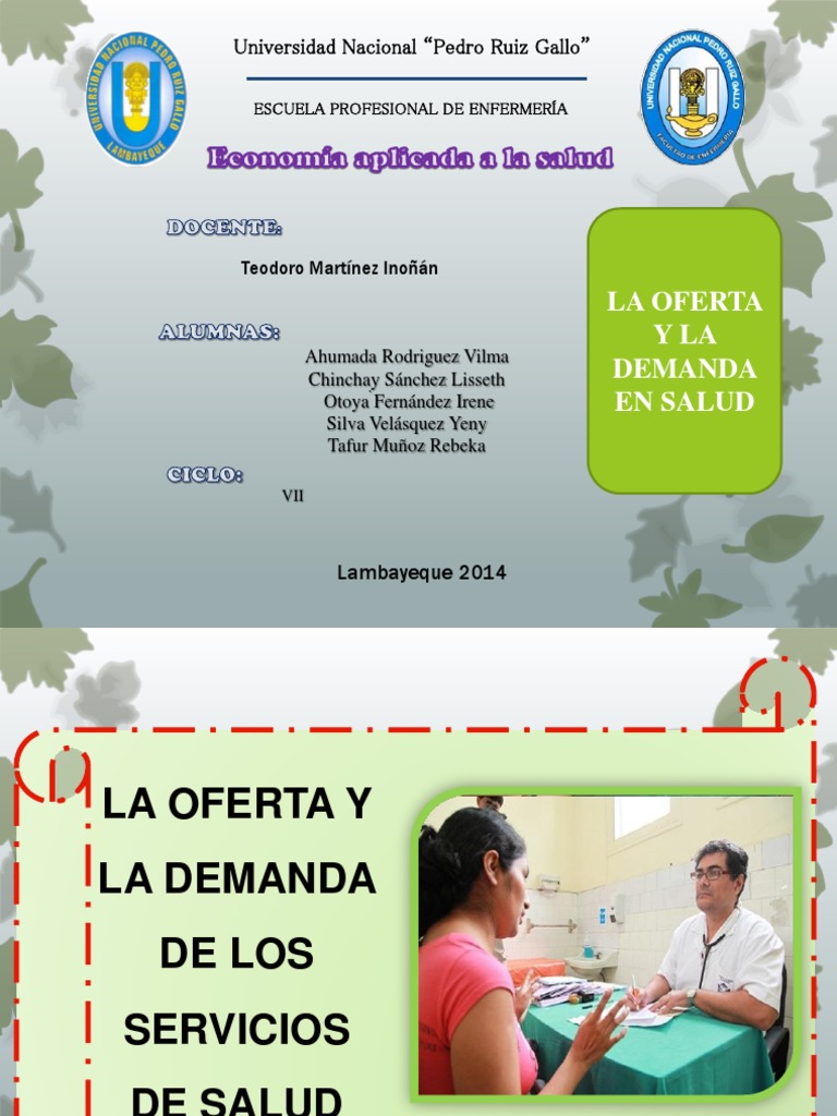 Oferta y demanda en servicios de salud | PDF | Hospital | Oferta y demanda