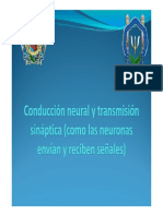 Conducció PDF