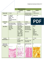 Tejidos Fundamentales