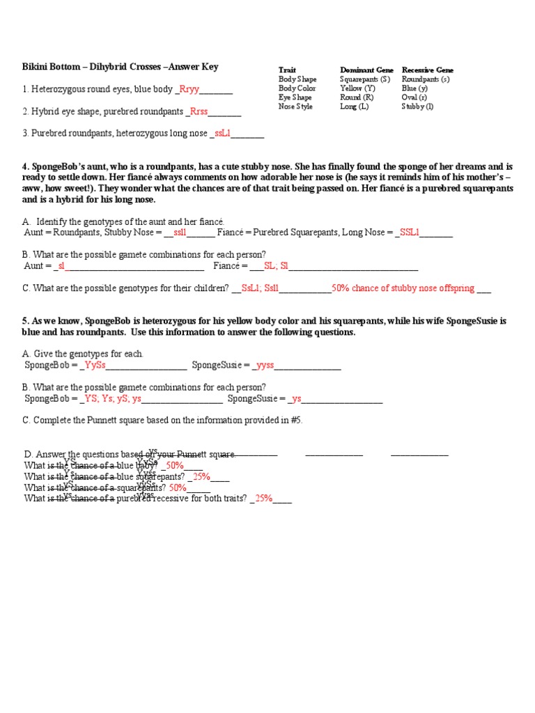 Worksheets Dihybrid Cross Worksheet Answers spongebob dihybrid answers evolutionary biology earth life sciences