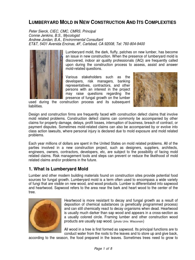 Evaluating and Managing Lumberyard Mold in New Construction: A