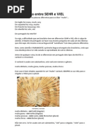 A Diferença Entre SEHR e VIEL