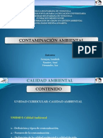 001 Presentacion Final Contaminacion Ambiental