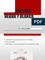 Metodos Caja Negra y Blanca