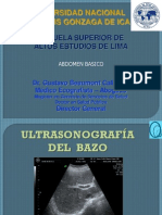 Ppt. BAZO PDF