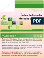 Índice de Cosecha